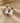 Ocean Spirit Baroque Pearl Earrings – Gold Seashell Tag