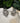 Bold Circlet Earrings - AD Jewellery Copenhagen