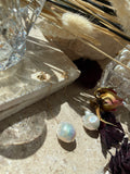 Baroque Pearl Honey Bee drop Earrings